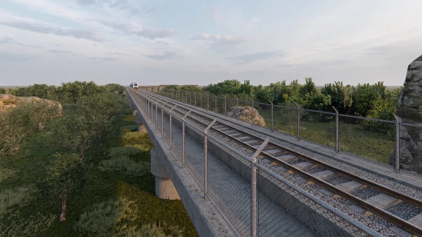 Viadotto su pile circolari in attraversamento di area boscata, con convoglio in transito